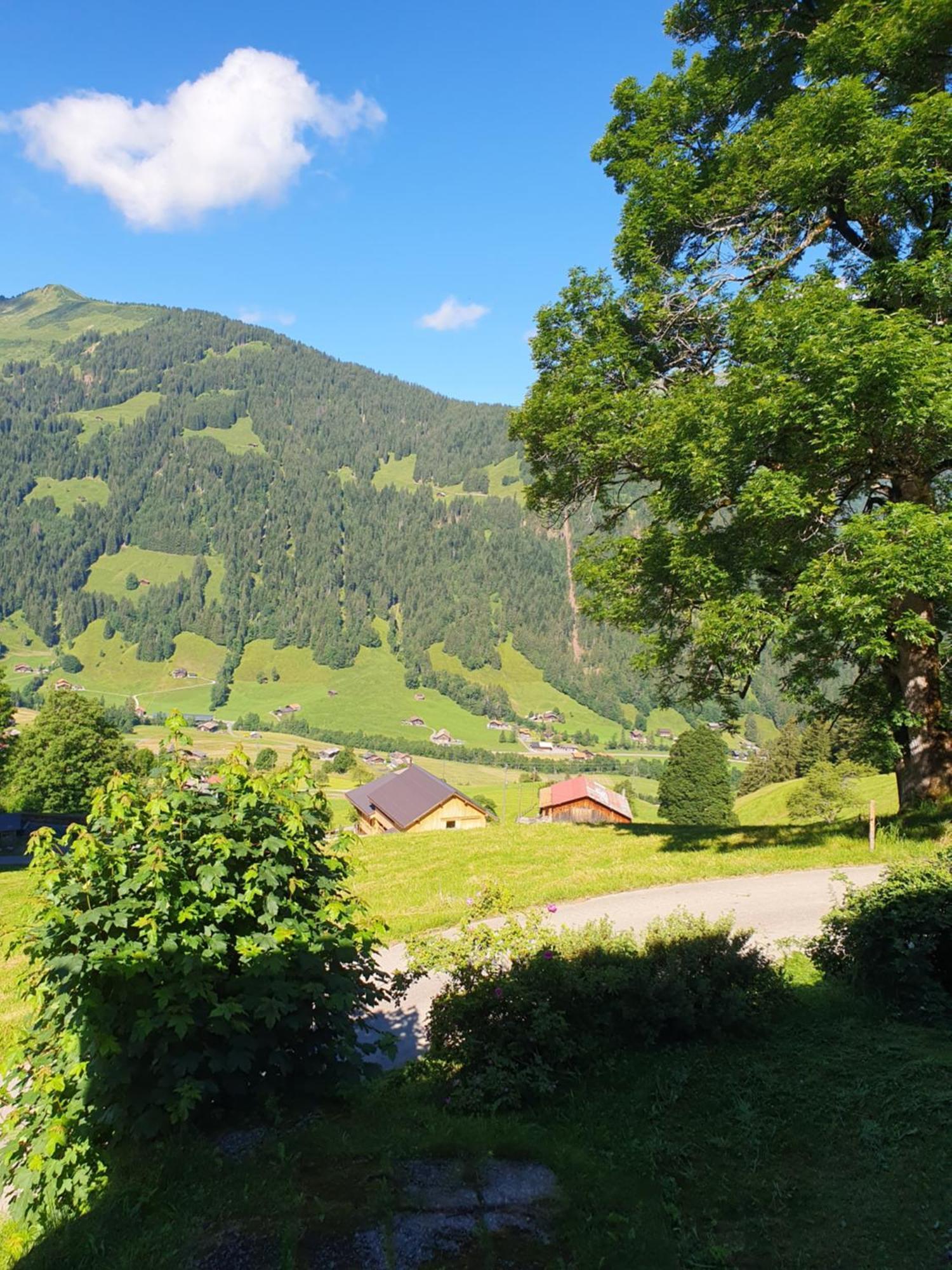 Bauernhaus Gschwend Gsteig Exterior foto
